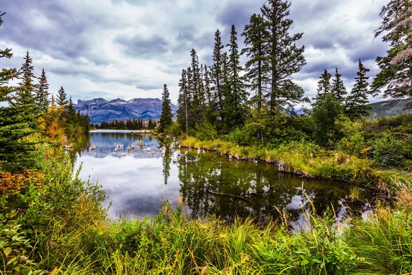 Jezera Jedle Hory Kanady Údolí Podél Silnice Pocahontas Zatažená Obloha — Stock fotografie