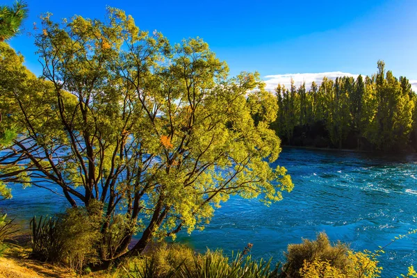 South Island Nova Zelândia Rio Floresta Com Água Azul Fria — Fotografia de Stock