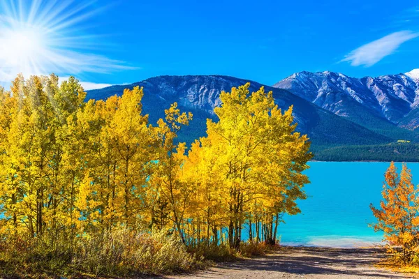 Aktif Ekolojik Fotoğraf Turizmi Kavramı Kanada Nın Rocky Dağları Abraham — Stok fotoğraf