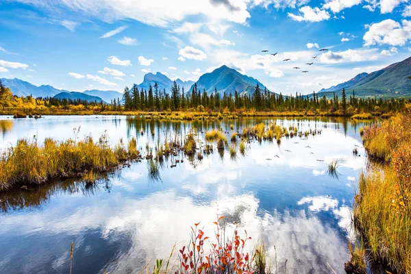 Lake Vermillon Yellow Fall Foliage Birches Aspens Flock Migratory Birds — Stock Photo, Image