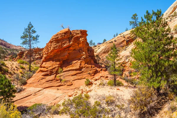 Magnífico Cañón Sión Excavado Junto Río Virginia Arenisca Roja Navajo —  Fotos de Stock