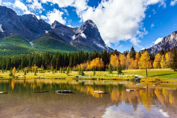 Buja Fényes Ősz Kanadai Banff Parkban Sekély Sárga Narancssárga Erdők — Stock Fotó