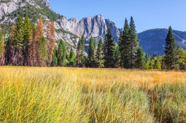 Kaliforniya, ABD 'deki pitoresk park. Batı Cordillera. Yosemite Vadisi 'nin etrafını saran El Capitan kayaları ve görkemli dağlar. Park Sierra Nevada 'nın yamaçlarında yer almaktadır.. 