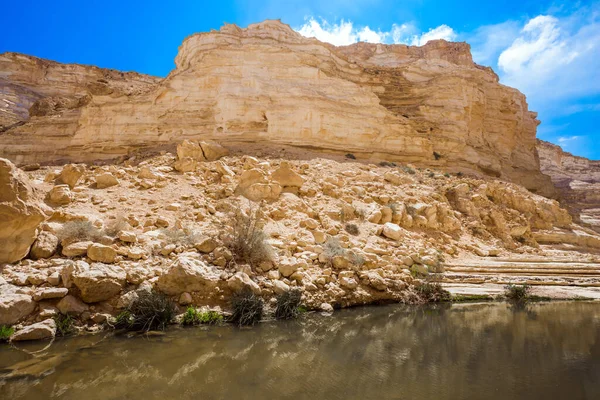 Canyon Most Beautiful Negev Desert Sky Reflected Water Walls Gorge — Stock Photo, Image