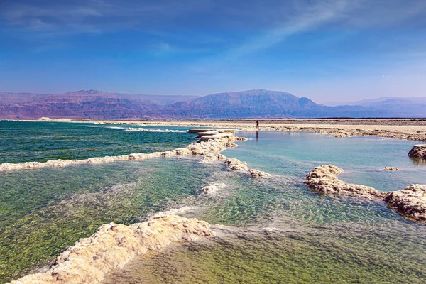 Izraelskie Wybrzeże Morza Martwego Odparowana Sól Tworzy Zawiłe Wzory Różowe — Zdjęcie stockowe