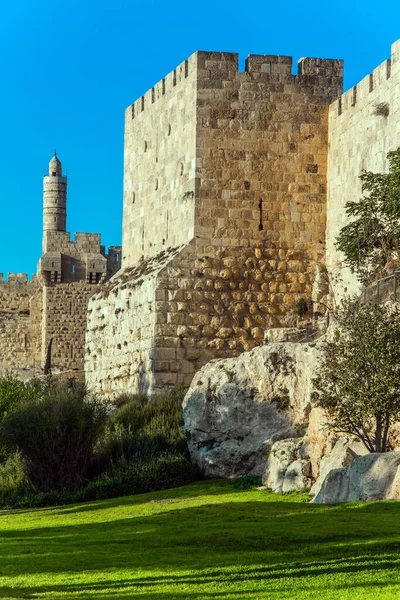 暑い夏の日没 古代の壁の下で成長している愛らしい緑の芝生 古いエルサレムの要塞の壁 古代の城塞 ダビデの塔 歴史的 巡礼的 写真観光の概念 — ストック写真