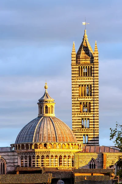 Sienan Katedraali Duomo Sienan Vanha Keskusta Auringonlasku Sienan Katedraali Duomo — kuvapankkivalokuva