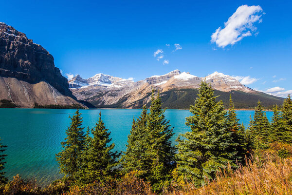 Cold sunny autumn day. The majestic Rocky Mountains of Canada. Pine trees and yellowed autumn grass around glacial lake Bow. The blue sky is reflected in the azure water
