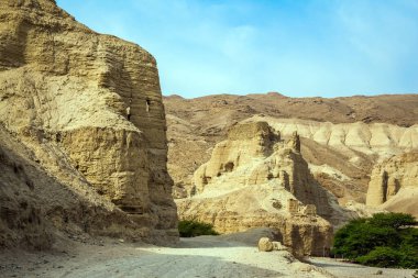 Kanyondan geçen toprak yol. Yeşil çöl akasyası. Ölü Deniz üzerinde sisli bir kış günü. Judean Çölü. Eski harabe dağların katı kireçtaşı. 