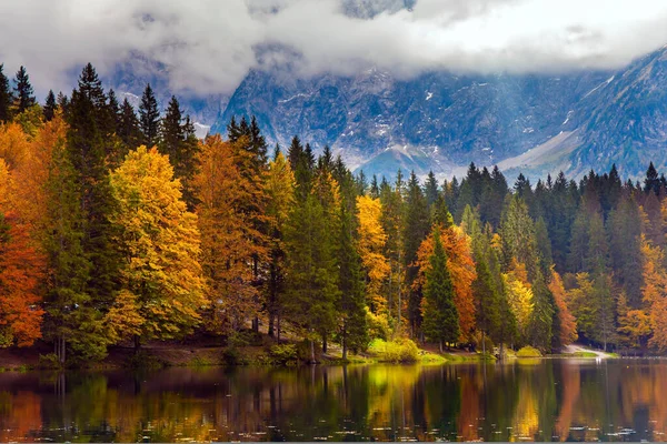 Prachtige Herfstkleuren Oranje Gele Bomen Worden Weerspiegeld Het Groene Gladde — Stockfoto