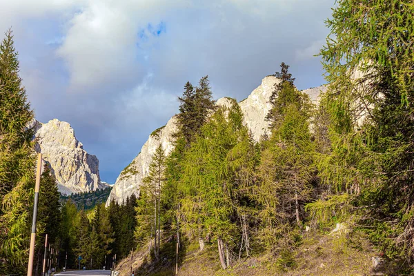 Doğu Alpler 'deki muhteşem dağ silsilesi Dolomitler. Dolomitlerin renkli kayalarında resimli günbatımı. Dağın eteklerinde ince çam ve çam ağaçları yetişir.. 