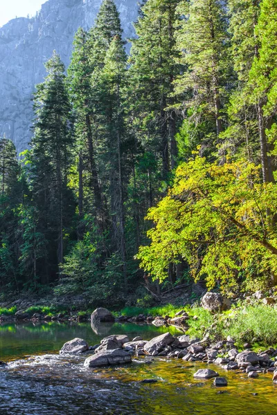 Charming Yosemite Valley Fluxo Florestal Floresta Sombria Refletida Água Yosemite — Fotografia de Stock