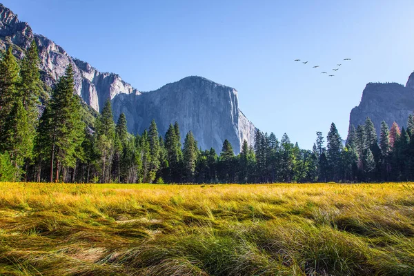 Yosemite Valley Der Felsenmonolith Capitan Der Yosemite Park Liegt Den — Stockfoto