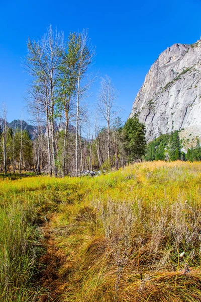 Yosemite Park Located Slopes Sierra Nevada Autumn Yellowed Grass Meadows — Stock Photo, Image