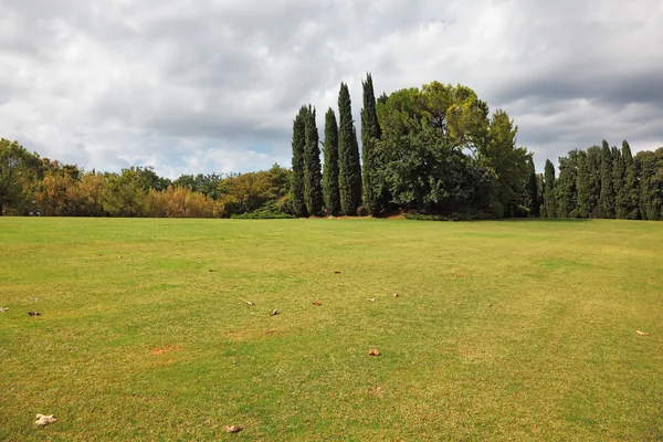 Campo amarillento enorme — Foto de Stock