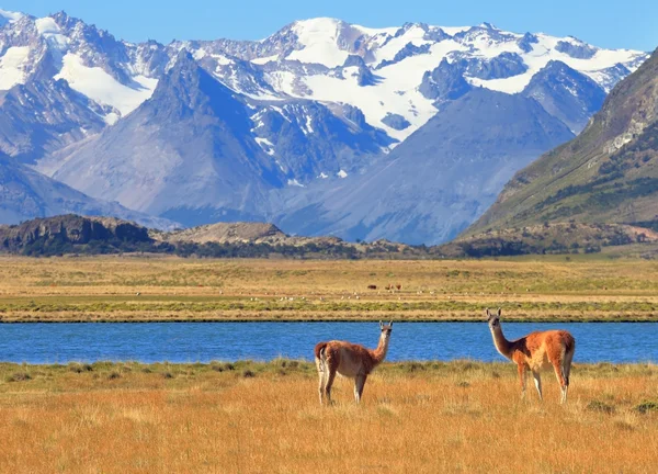 Campo, lago e montanhas — Fotografia de Stock