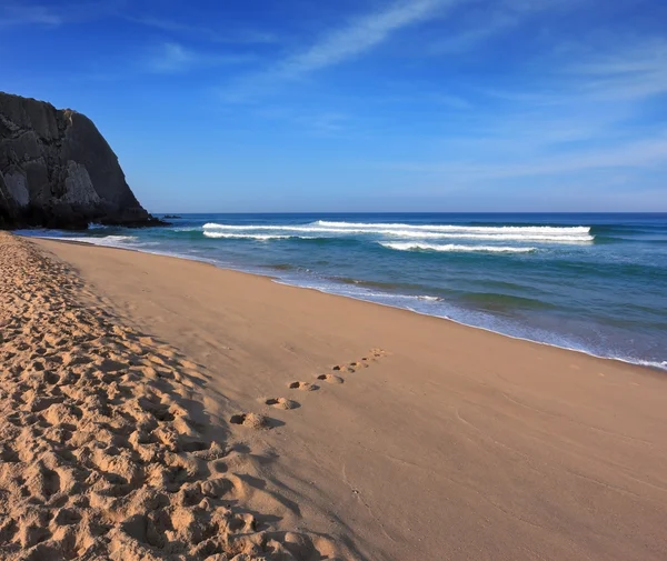 Sol temprano en la playa de arena — Foto de Stock