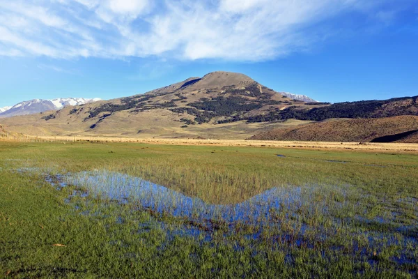 Park Perito Moreno water meadow — Stock Photo, Image