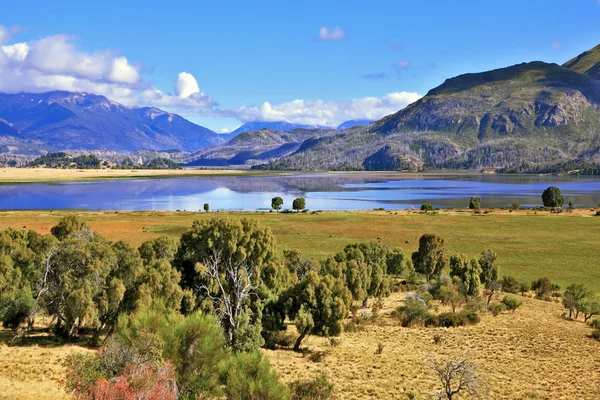 nehir bankalar ile yeşil ormanlar