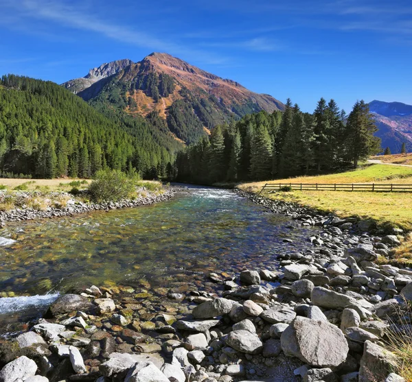 Green transparent water — Stock Photo, Image