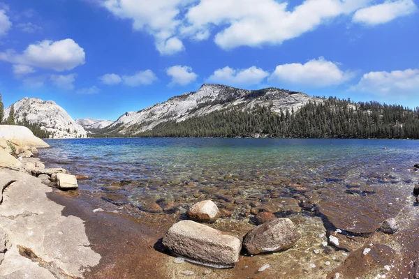 Tioga jezioro w parku yosemite — Zdjęcie stockowe