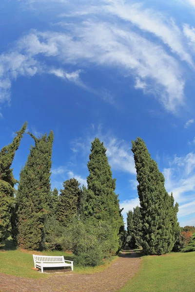 Beyaz tezgah Parkı — Stok fotoğraf