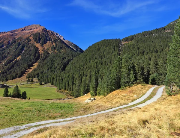 Valley in Austria — Stock Photo, Image