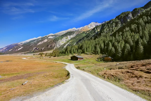 Ampia strada sterrata nella valle alpina — Foto Stock