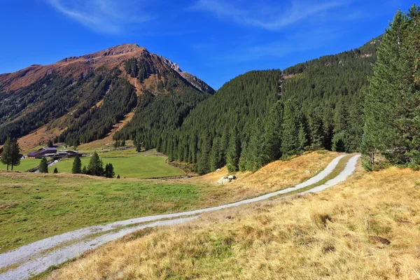 Weg zwischen den Feldern — Stockfoto