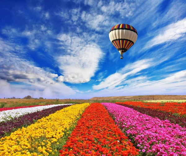 Over field the air huge sphere flies — Stock Photo, Image