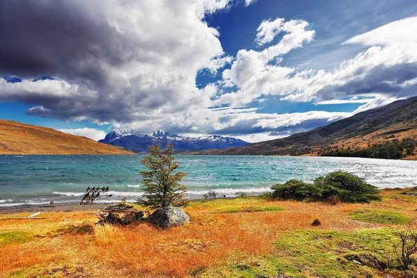 Gökyüzü görebilsin kapatır — Stok fotoğraf