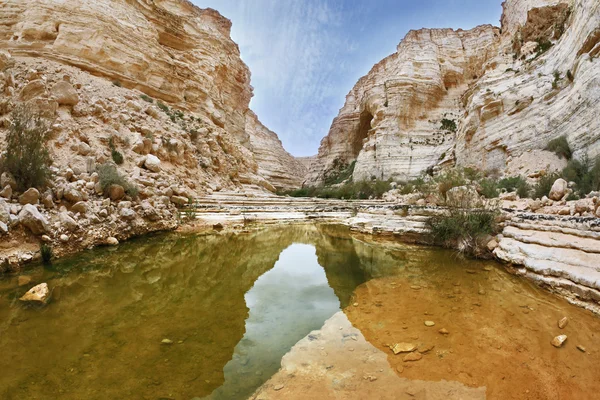 Ein Avdat National Park in the desert — Stock Photo, Image