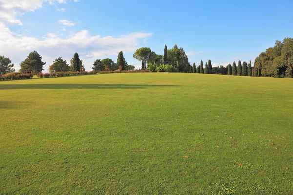 Belle pelouse verte dans un parc — Photo