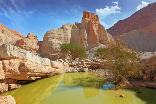 Grande piscine avec vestiges d'eau verte — Photo