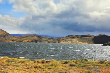 Göl köpüren ve köpükler