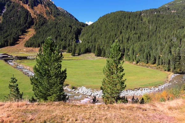 De genomskinliga streamlets ansluta — Stockfoto