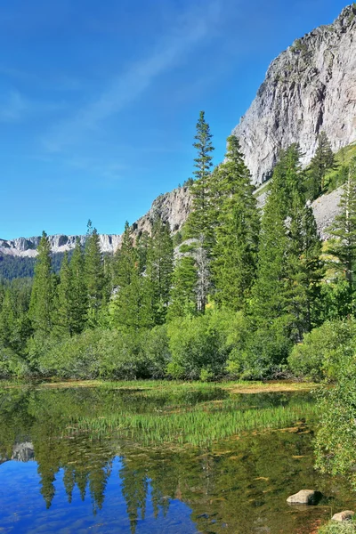 A lake in the mountains of California