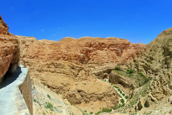 The road leading to the temple — Stock Photo, Image