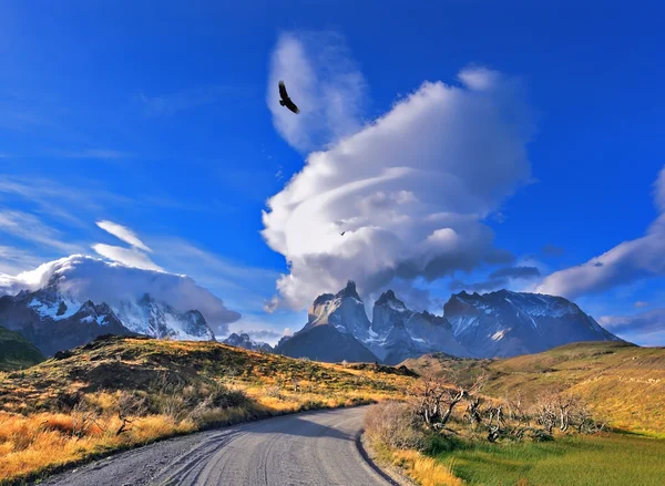 Nationalpark torres del paine in Südchile — Stockfoto