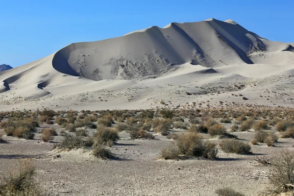 Sandy dune Eureka — Stock Photo, Image