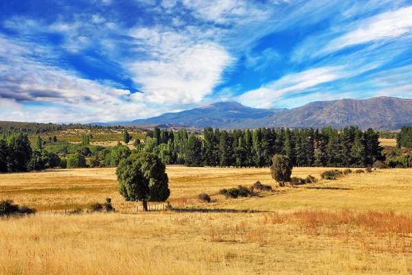 Campos después de la cosecha — Foto de Stock