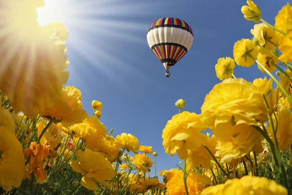 Flying balloon — Stock Photo, Image