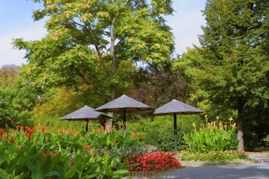 Lawn çiçek tarafından çevrili