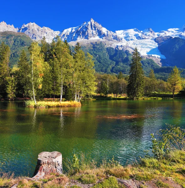 Stadtpark im Alpenort Chamonix. — Stockfoto