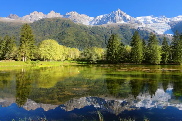 Reflectie in het meer in het park — Stockfoto