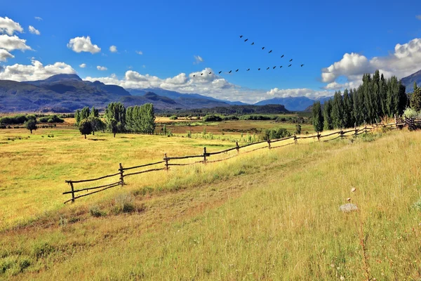 Pintoresco paisaje rural . — Foto de Stock