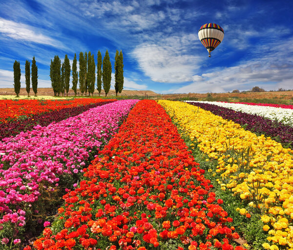 Huge balloon flying over colorful floral field.