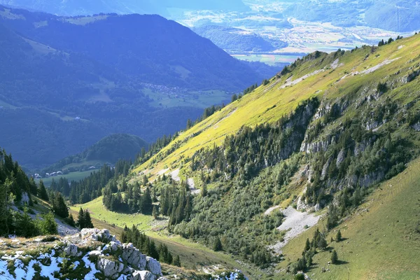 Muhteşem dağ yamaçlarında