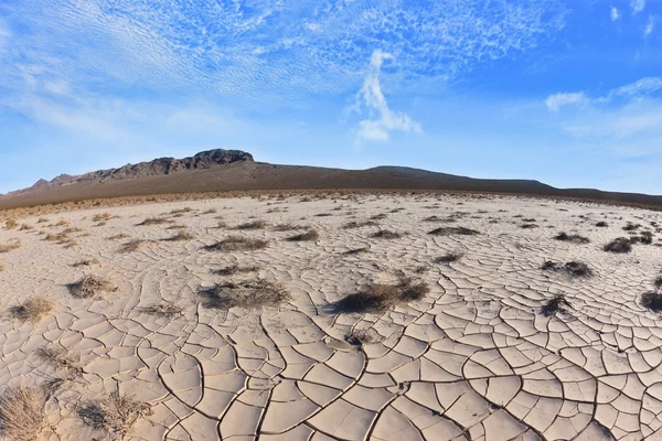 Prasklých hliněných kůra je rozlehlé poušti. — Stock fotografie