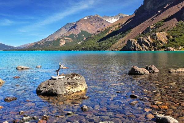 En una piedra seca de madera a la deriva — Foto de Stock